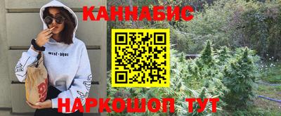 сатива Кулебаки