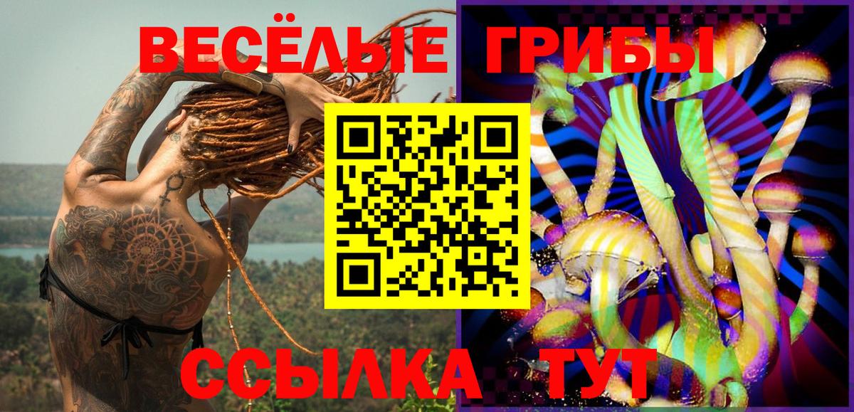 Губкин  Псилоцибиновые грибы GOLDEN TEACHER  Вход с VPN  Псилоцибиновые грибы MAGIC MUSHROOMS 