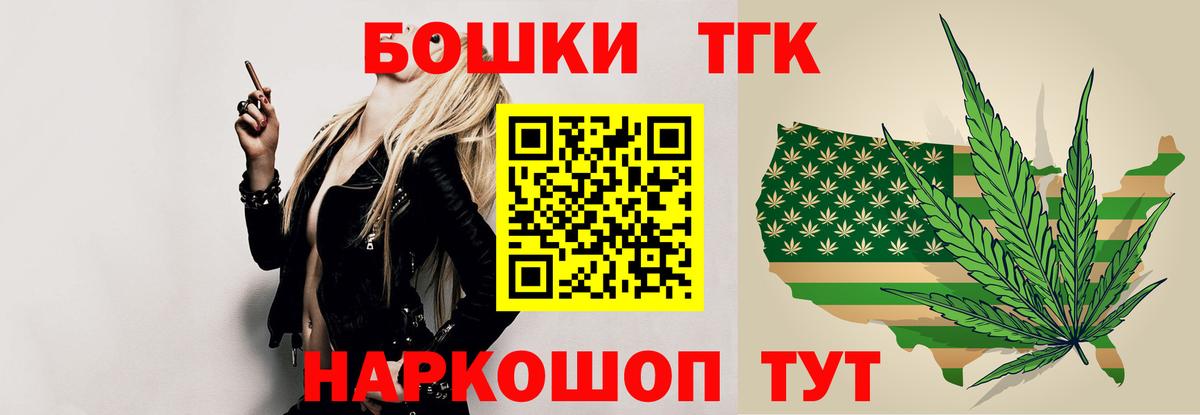 Бошки Шишки планчик Губкин